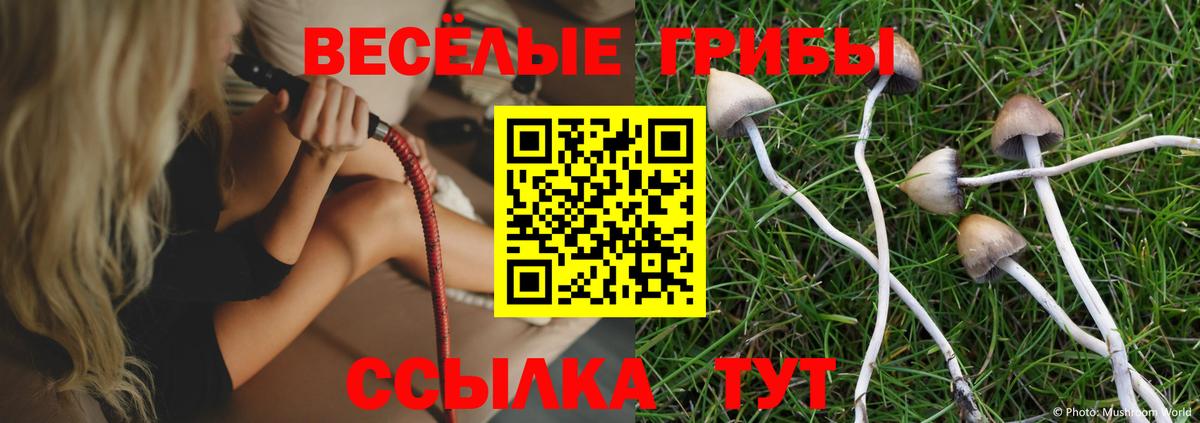 Мефедрон   COCAIN  Дзержинск  ГАШ  Бошки Шишки  Вход с VPN 